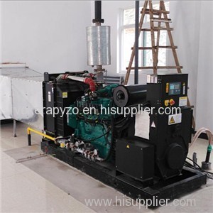 Cummins Biomass Generator Product Product Product