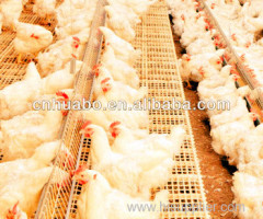 Huabo comfortable & hygeian pvc slat floor for poultry farming equipment
