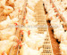 Huabo comfortable & hygeian pvc slat floor for poultry farming equipment