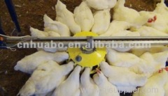 HuaBo high quality pan feeding system for chicken farming equipments