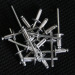 304/316 solid stainless steel blind rivet