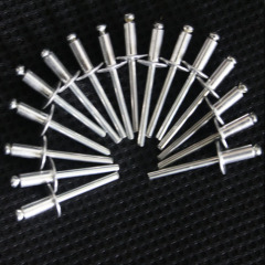 stainless steel pop rivet