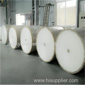 PE Coated Cup Paper