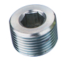 NPT male hollow hex plug 4NN