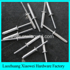 competitive stainelss steel and aluminum steel blind rivet