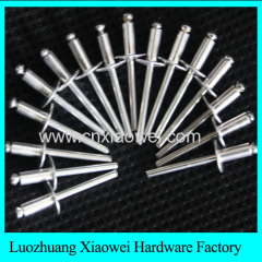 kinds of head types aluminium blind rivet