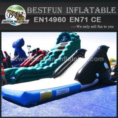 Backyard toddler inflatable water slide