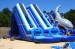 Large Inflatable Water Slide