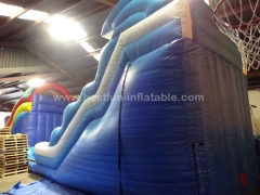 Monster Wave Inflatable Water Slide