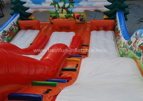 Wyrmslayer inflatable slide for fun