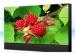 55 Inch 5.3mm Bezel LCD Video Wall For Surveillance System and Control Room