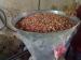 Stainless Steel Sweet Soft Candy Making Machine Small Peanut Crusher