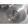 Stainless Steel Precision Strip