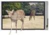 Floor Standing 3D LCD TV Screen High Resolution 1920 x1080 160W