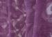 Floral Jacquard Voile Curtain Fabric 100% Polyester Transparent