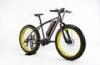 PAS Electric Offroad Mountain Bike 10.4 A Electric Full Suspension Mountain Bike