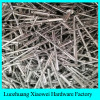 Low price wholesale all steel large flange blind rivet