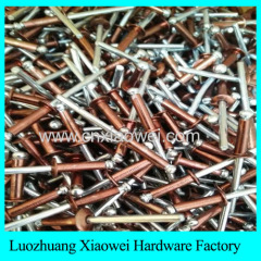 Large flange boat fasteners blind rivet