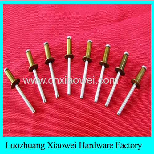 FACTORY A2 A4 304 316 SS/SS LARGE FLANGE HEAD SELF CLOSED END BLIND POP RIVETS
