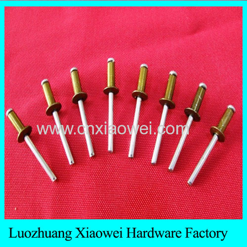 high quality large flange head aluminum bolt blind rivets