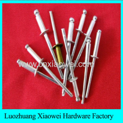 Manufacture Factory Offer colored type 5050 aluminum blind rivet