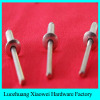 China factory domed head aluminium blind rivets