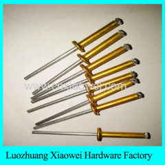 Gold Color Open End Blind Rivet manufacturer