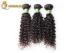 Professional 20 Inch 100% Brazilian Human Hair Kinky Curly Human Hair Weave