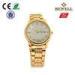 IPG Men Alloy Watches With Stainless Steel Back 30m Water Resistant