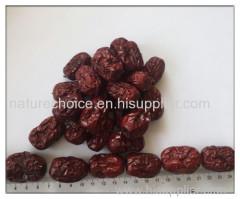 Zizyphus jujuba Chinese date(Red date) FRUCTUS JUJUBAE DATE