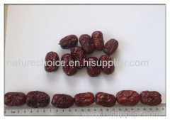 Zizyphus jujuba Chinese date(Red date) FRUCTUS JUJUBAE DATE