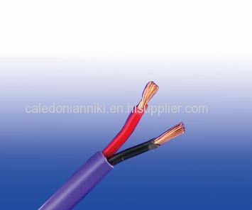 300/500V PVC Insulated PVC Sheathed Power Cables (2-5 Cores)