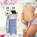 Non Surgical Cryolipolysis Slimming Machine / Cryo Weight Loss Equipment For salon use