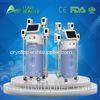 Vaccum Cryolipolysis Coolsculpting Machine / Cryolipolysis Coolsculpting Machine