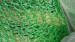 Green dustproof net cover