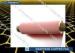 Civen Single Layer Graphene On Copper foil Sheet for Aerospace industry