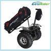 Outdoor Sport Electric Golf Cart Scooter / Mobility Golf Scooters 2 Remote