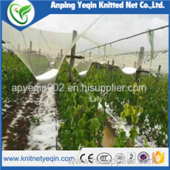 Anping Factory/Manufacturer HDPE Anti Hail Net for Agriculture