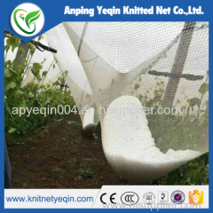 Apple tree anti hail net