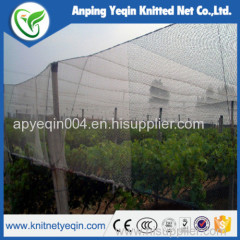 Apple tree anti hail net