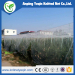 Agruculture apple tree anti hail net