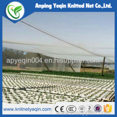 supply various apple tree anti hail net