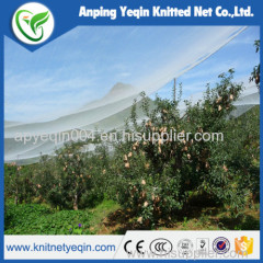 supply various apple tree anti hail net