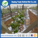 Anti hail net with UV for agriculture