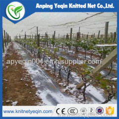 Anti hail net with UV for agriculture