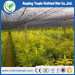 High quality sunshade net for agriculture