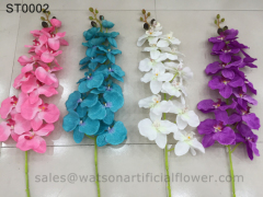 flowers orchids from Tianjin Watson Gifts Co Ltd