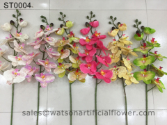 white orchid flower from China flower factory