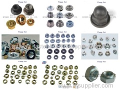 Lock nuts nylon lock nuts rail lock nuts track lock nuts