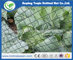 plastic mesh hdpe knitted vinyard anti bifd protection net